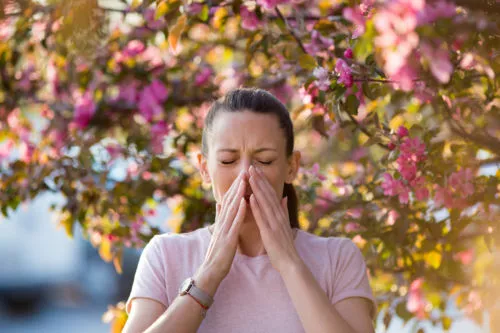 Allergies : traitements et solutions pour réduire les symptômes